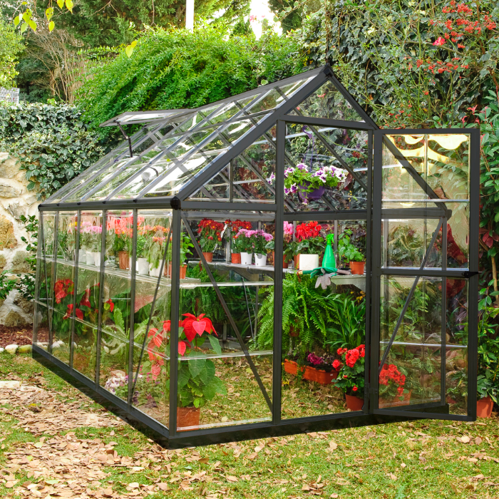 Palram - Canopia 6' x 10' Harmony Grey Polycarbonate Greenhouse