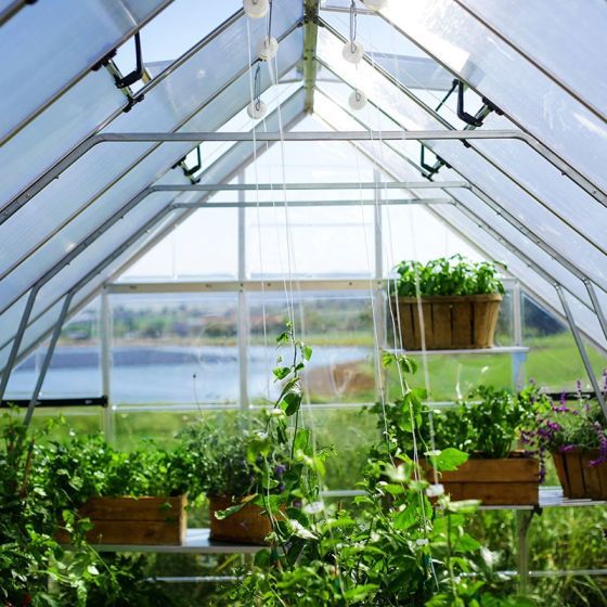 Palram - Canopia 10' x 12' Balance Silver Polycarbonate Greenhouse